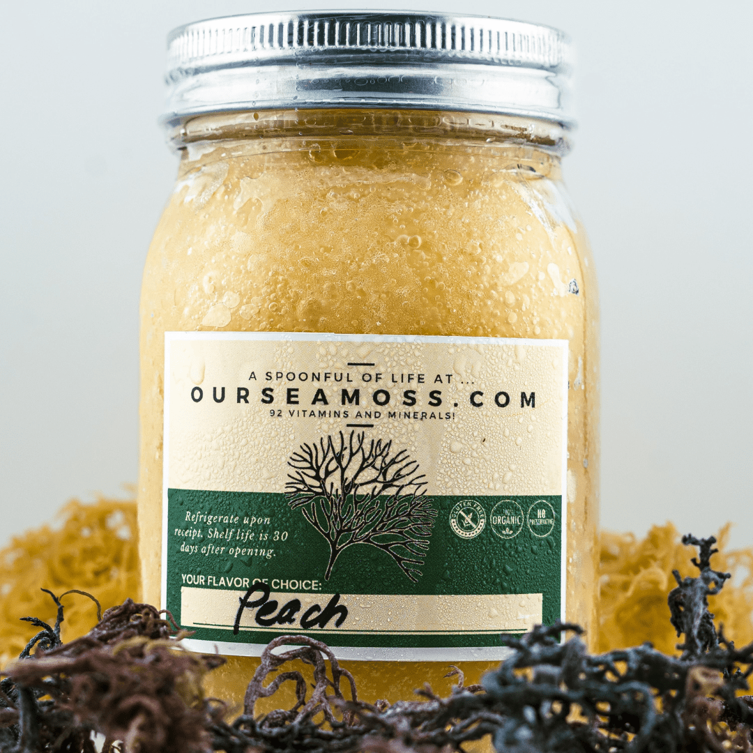 Organic Sea Moss Gel (Apple Cinnamon) - LARGE 16 OZ - Real Fruit -  Wildcrafted Sea Moss 