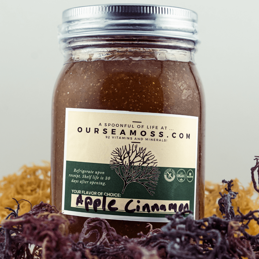 Organic Sea Moss Gel (Apple Cinnamon) - LARGE 16 OZ - Real Fruit -  Wildcrafted Sea Moss 